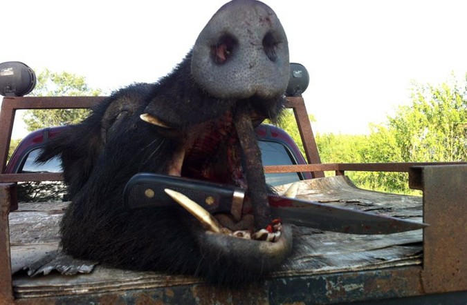 Alaska Knives: Pride in the Last Frontier