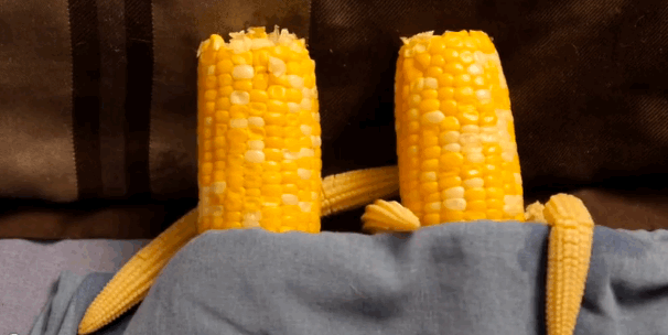 Mashable-corn.gif