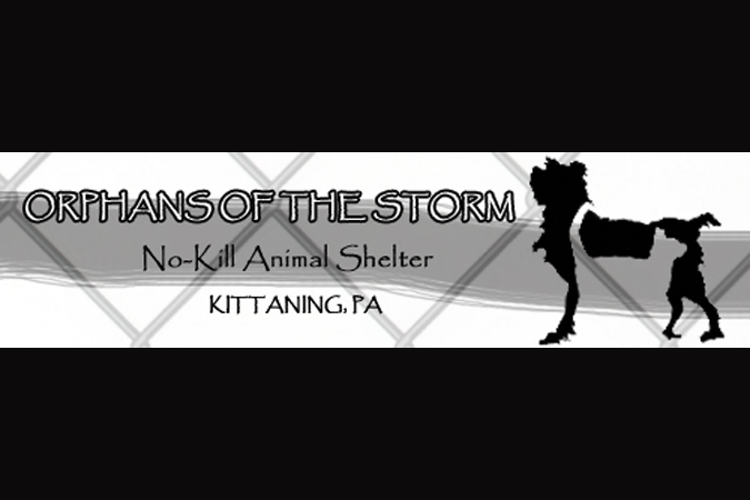 In Cani Confiderus - Orphans of the Storm animal shelter2