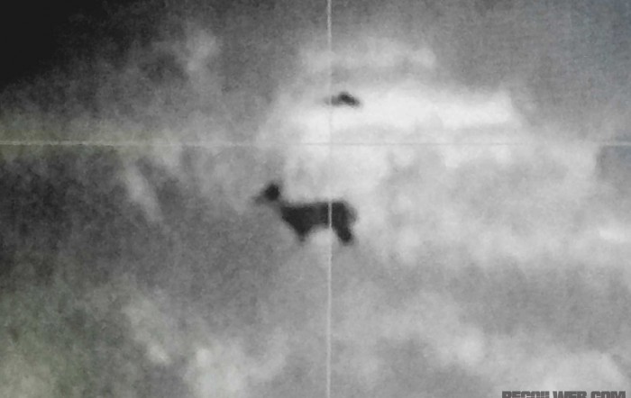 Night Hunting Using Night Vision and Thermals