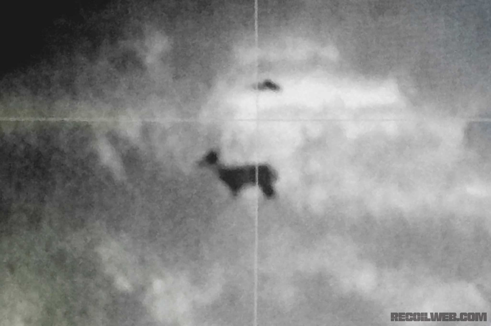 Night Hunting Using Night Vision and Thermals | RECOIL