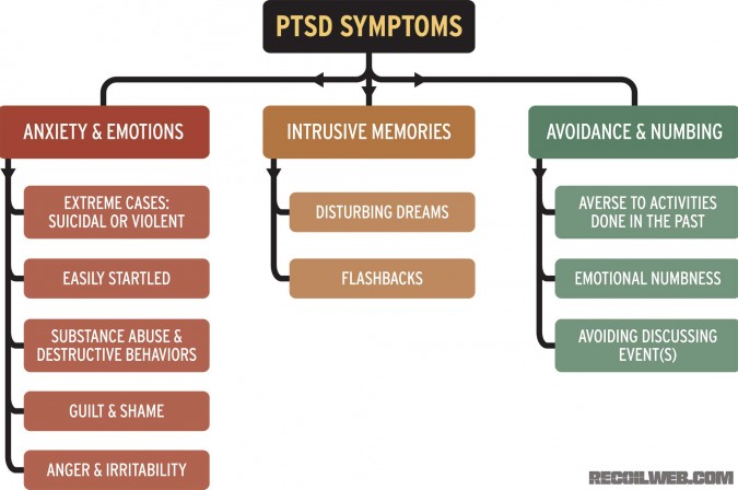 ptsd-defined-ptsd-symptom-flow-chart-006