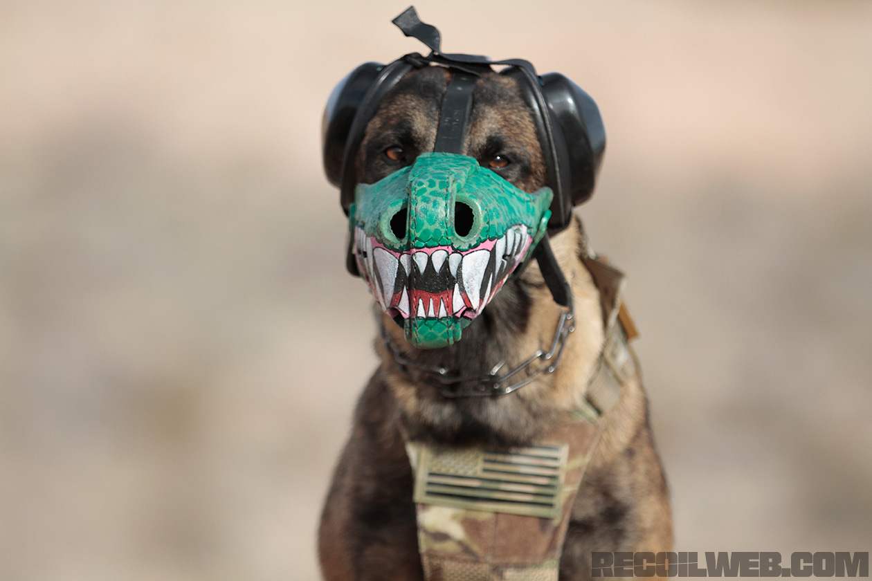 badass dog muzzle