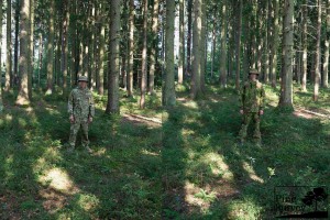 Pine Survey: Greenzone vs MultiCam