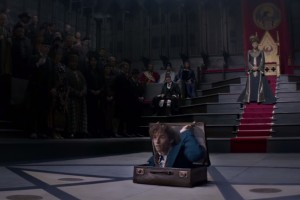 Fantastic Beasts and Where to Find Them