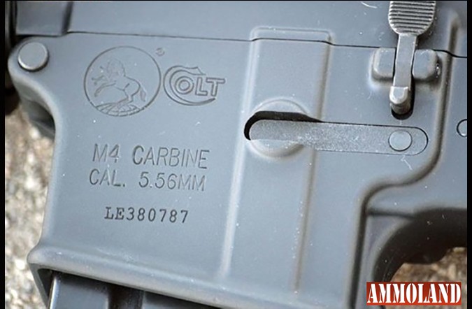 Colts Out for Harambe