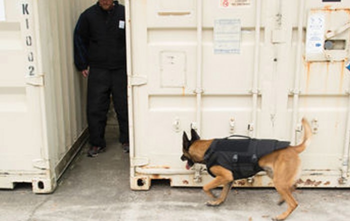 Protech: Bark-9 K9 Carrier