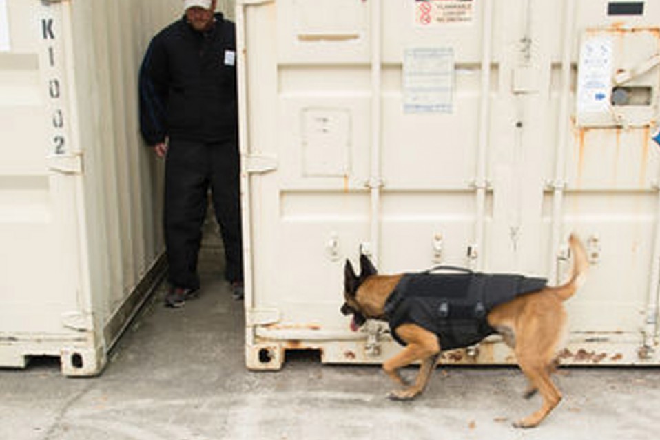 Protech Bark9 K9 Carrier RECOIL