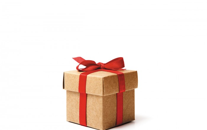 Holiday Gift Guide