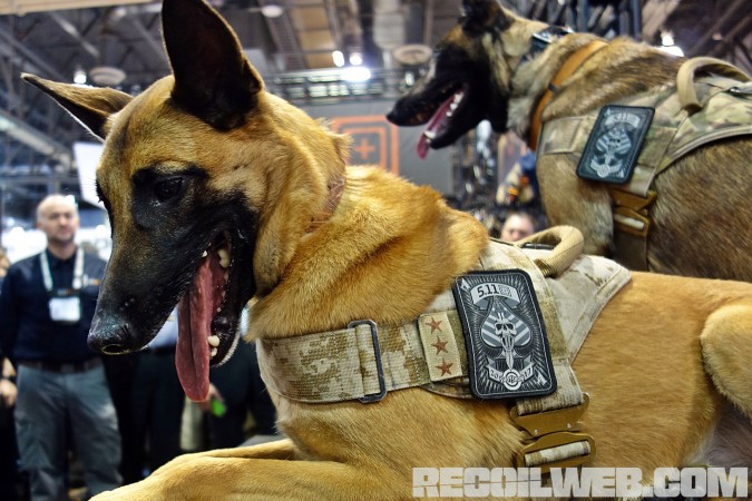The real stars of the 5.11 booth were these two highly trained, very friendly Belgian Malanois protection dogs