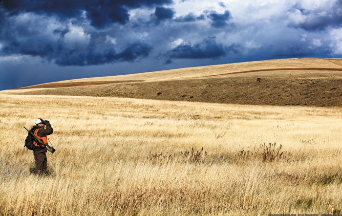 Deer Hunting in Montana