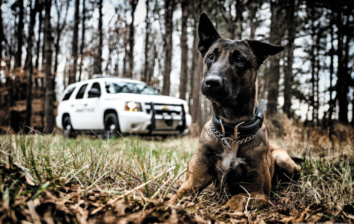 Canine Technology