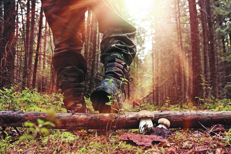 Fitness for Hunting RECOIL