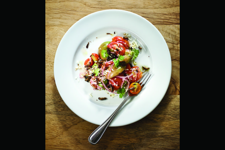 Fare Game Chef Jesse Griffiths Interview RECOIL