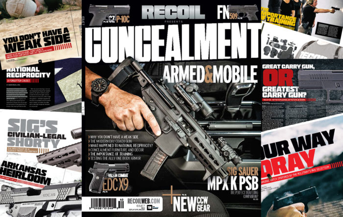 Concealment #7