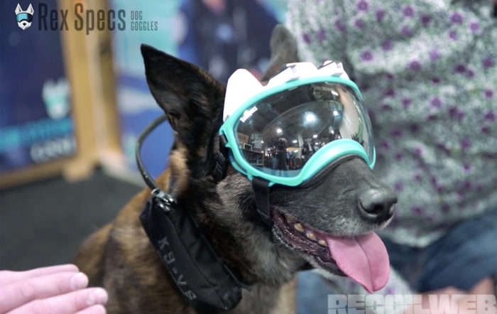 [Watch] RECOILtv All Access: Rex Specs