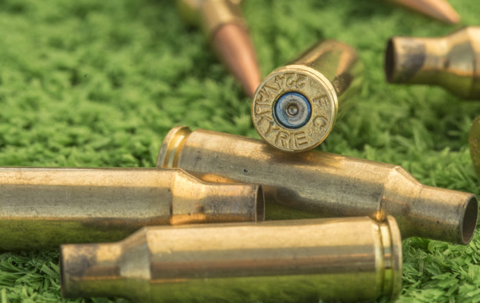 .224 Valkyrie: Long Range From An AR-15 [Complete Guide 2023]