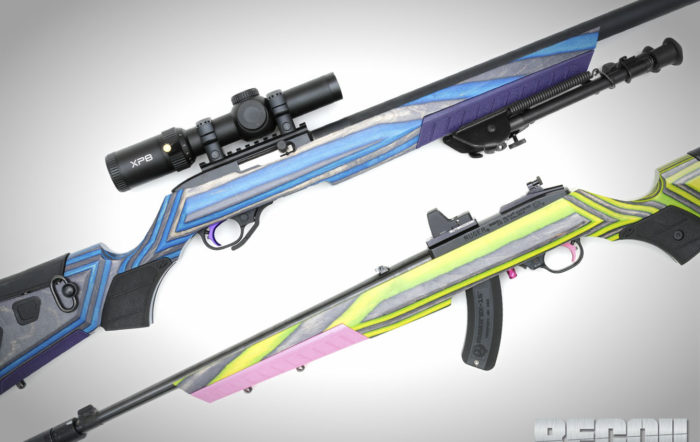 The Family Rifle: We Assemble One Rifle for the Whole Family