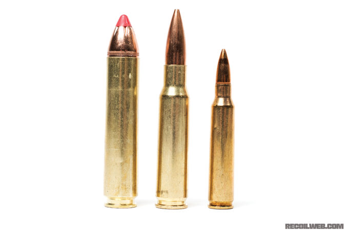 From left to right: .45-70 Auto, .308, and .223.