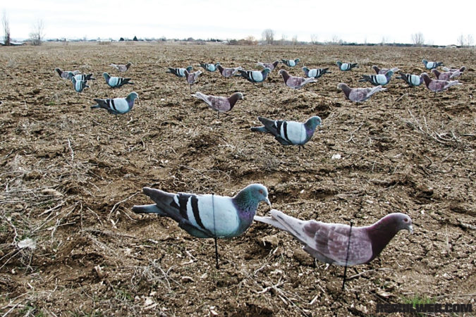 Top and bottom left: The very first Soar No More decoys. The Flat and upright Silhouette Pigeon Decoys that put them on the map for pigeon hunting. 