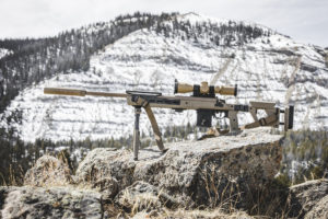 Now Shipping: Magpul Pro 700 Chassis