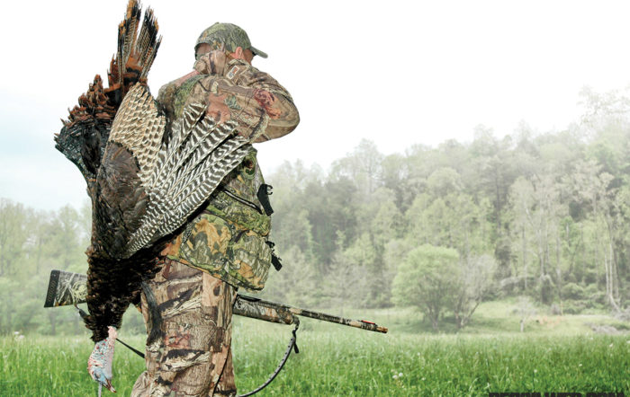 Tough Turkey, How to Use More Meat