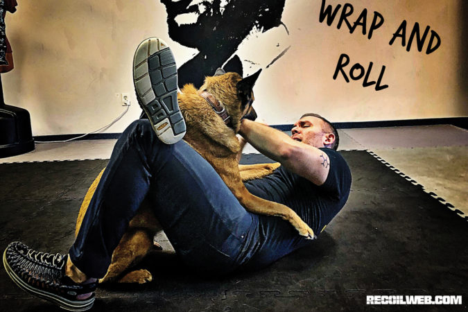 The wrap and roll is a risky technique But if you’re already on the ground with the dog it’s a path to a dominant position.