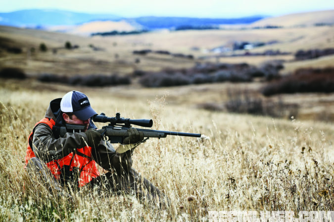 Precision hunting .02 6.5 Creedmoor Vs. .308 Winchester: Hunting, Target Shooting, & More [2024]