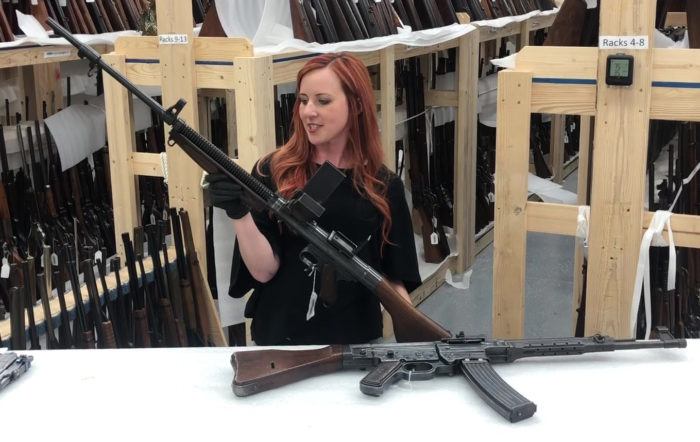 The Ashley Update: Rare Assault Rifles