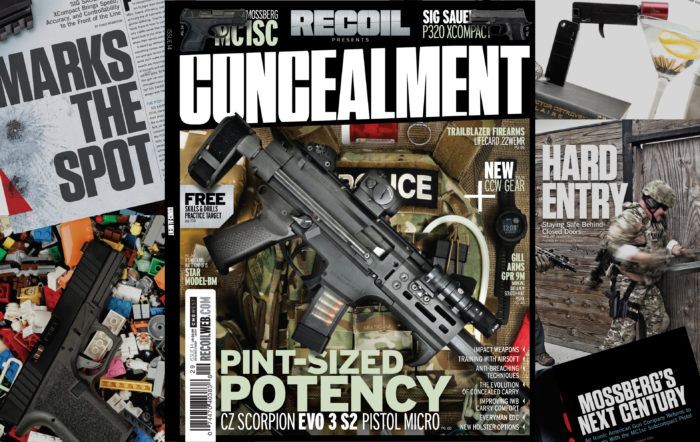 CONCEALMENT #14
