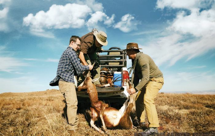 Field to Table with Hunters Care
