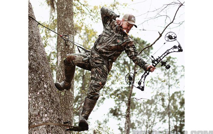 Back in the Saddle Again