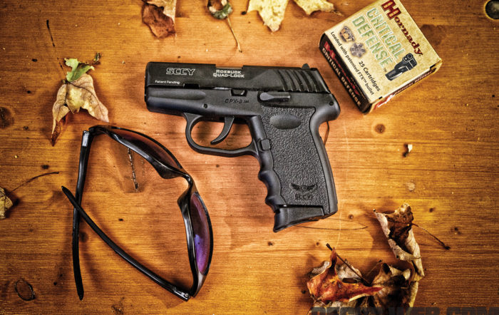 Redemption: SCCY CPX-3 Pistol