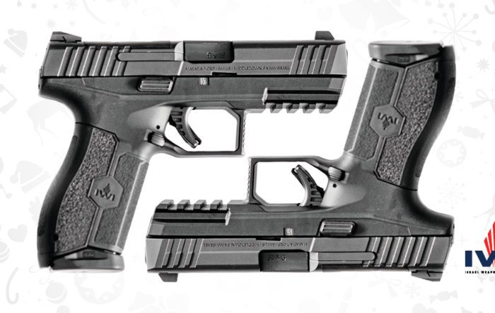 Enter Here! 12 Days of Christmas 2019: Day 1 – IWI