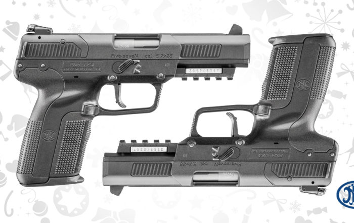 Enter Here! 12 Days of Christmas 2019: Day 12 – FN