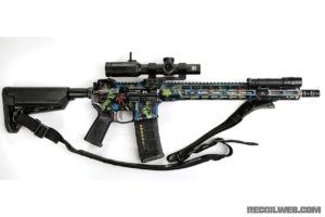 Hawaii 5.56 Custom AR-15 Build