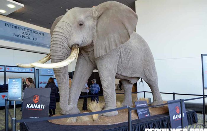 So you want to hunt an elephant?