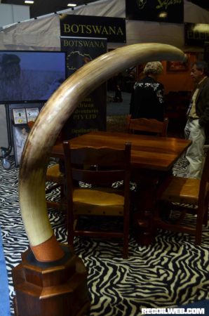 Large tusks or any elephant ivory for that matter can not be imported to the US as of this writing.