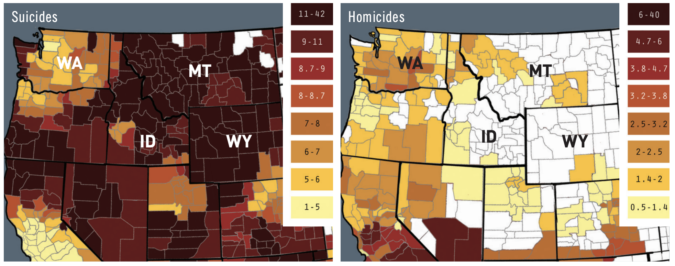 gun deaths northwest