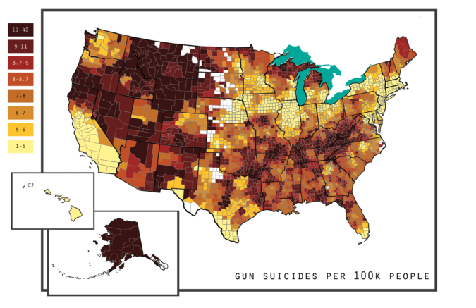 gun suicide map