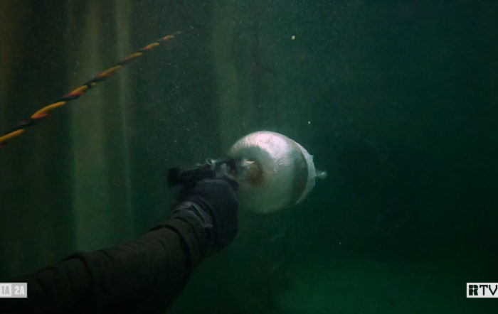 RECOIL TV: 45 ACP versus 9mm UNDERWATER