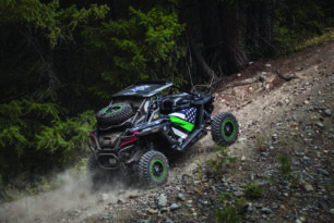 thin green line tactical RZR