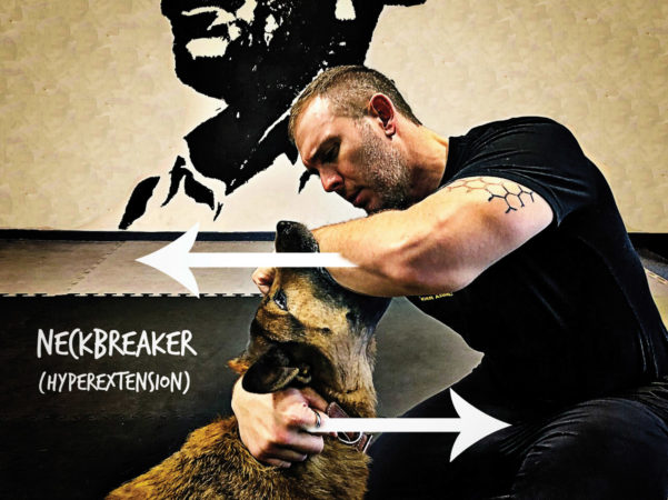 dog attacks neckbreaker