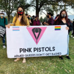 pink pistols cover