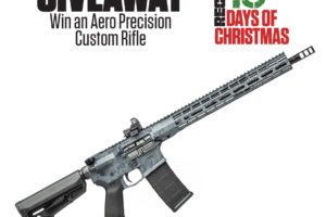 12 Days of Christmas 2021: Day 11 – Aero Precision Custom AR Rifle