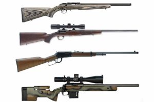 Best .22 Magnum Rifle: Buyer’s Guide [2023]