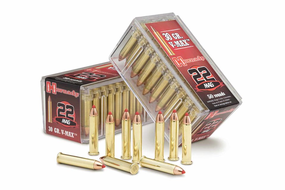 Best .22 Magnum Ammo For Hunting And SelfDefense [2023] RECOIL