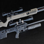 Delta Wolf and Gauntlet2 air rifles
