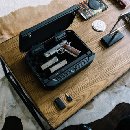 Vaultek VTi small gun safe