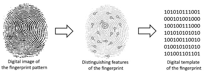 how-fingerprint-scanner-works